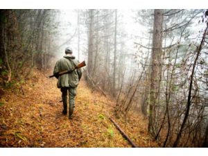 Chasse en semaine 2026/27 - Grand gibier