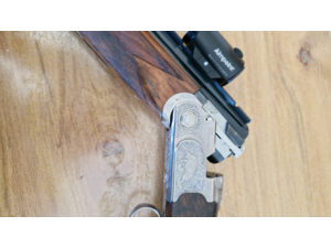 Express beretta silver sable 8x57