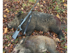 Je recherche un chargeur 4 balles pour carabine Sauer 404 300 win Mag