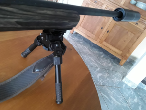 carabine browning Xbolt varmint