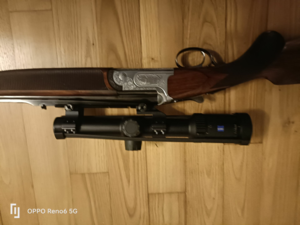 Express 30 R blaser