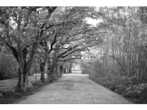 territoire de chasse au grand gibier - 140 ha