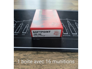 Lot de Geco Softpoint cal. 30-06 11.0g / 170 gr