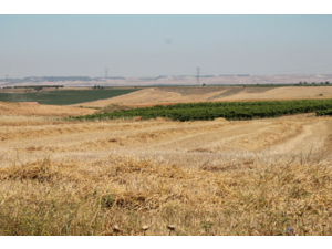 Exclusif et inédit !! / Séjours de dressage de vos chiens d'arrêt hors saison !