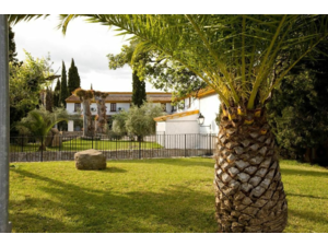 “Macho Montes ou Ibex de GREDOS”