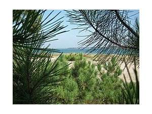 Recherche Actionnaires