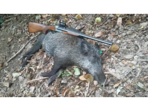 Cherche un DRILLING BLASER D99 en 8X57JRS