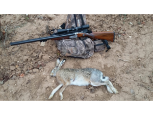 Cherche un Drilling UNIQUEMENT dans un tous petit calibre