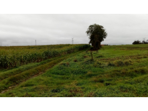 Plaine de chasse en Pays d'Opale