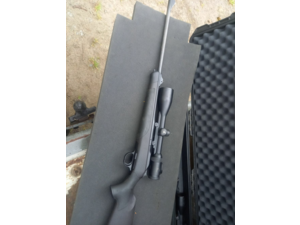 Blaser R8