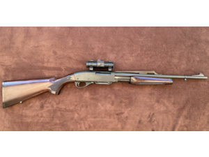 CARABINE A POMPE REMINGTON 7600 CAL 35 WHELEN AVEC POINT ROUGE
