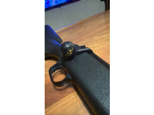 Blaser r93