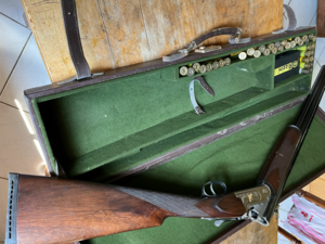 Rizzini omnion light
