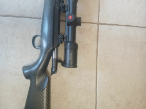 sauer