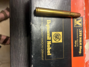 Balles 375hh