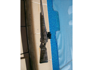 carabine remington 770