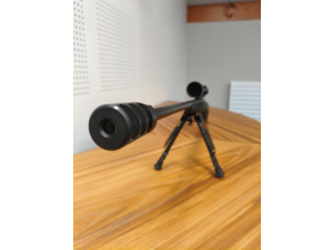 Remington 700 SPS - 300 win mag + SWAROVSKI Z6I 5-30 x 50 P HD