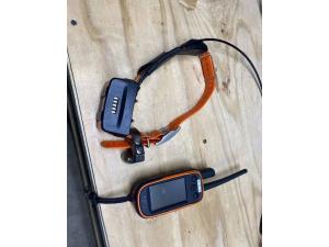 Garmin Alpha 100 avec collier tt 15