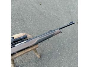 Sauer S303