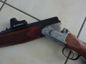 EXPRESS FAIR SAFARI EXCELLENCE (DC 313) CALIBRE 30R BLASER NEUF