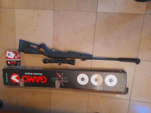 Carabine à plomb Gamo Whisper IGT 19,9 joules