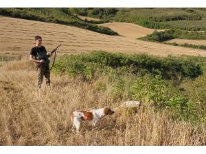 Chasse mixte petit gibier / Aragon /Espagne.