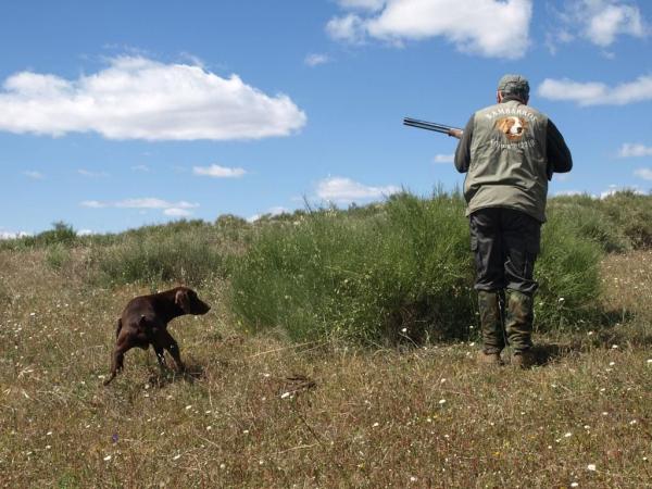 PERDRIX EN CATALOGNE NORD-OUEST.