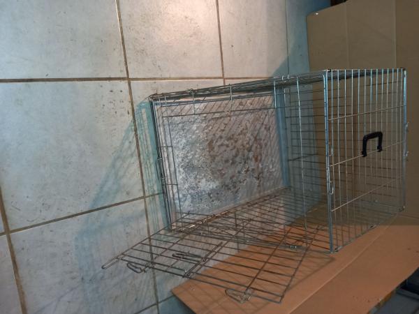 cage de transport de chiens