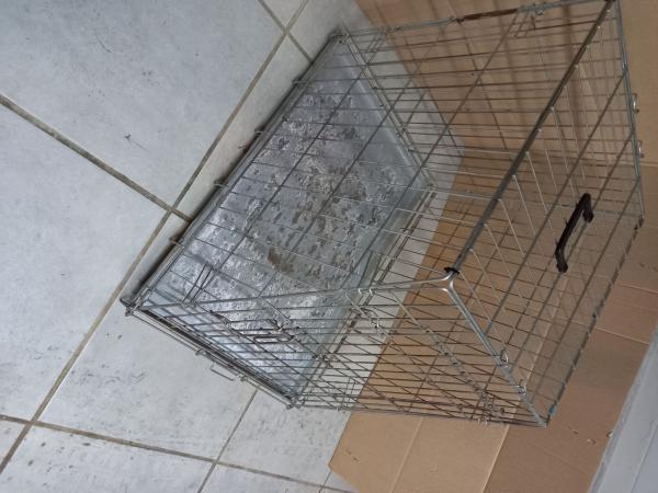 cage de transport de chiens