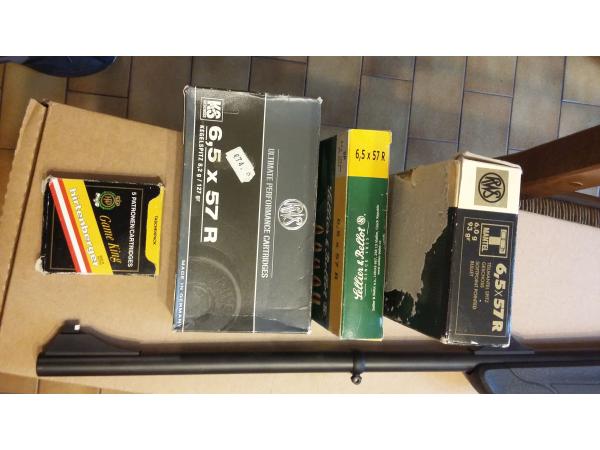Devant Stutzen pour Blaser R8 Ultimate ou Professionnal Succes