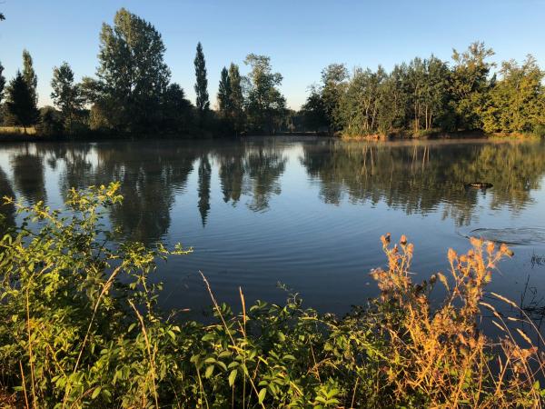Territoire de chasse dans le Perche a Louer