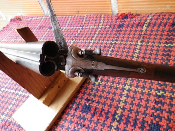 Fusil à chiens