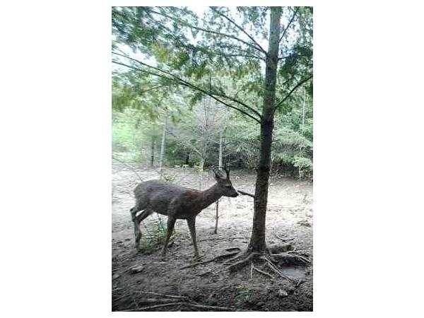 Recherche Partenaires pour Territoire Chasse à l'Approche