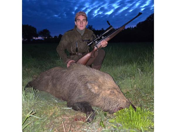 CHASSE A L’ARC - CHASSE A TIR - Saison 2025-2026 - AFFÛT ET APPROCHE aux grands gibiers, en FORET DOMANIALE DE BERCE, département 72, sur un territoire de 1100 hectares