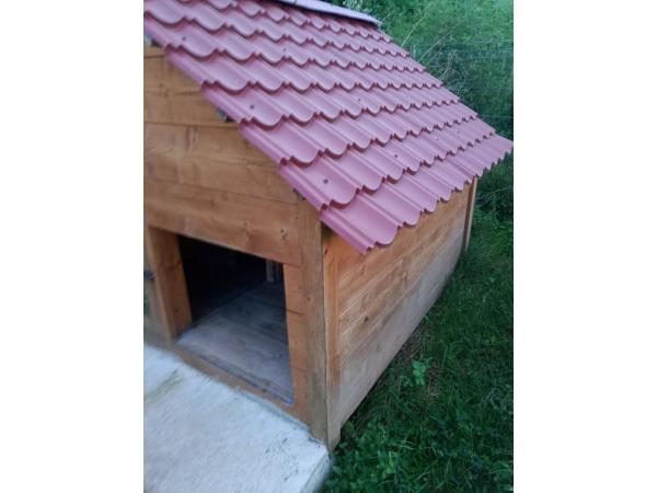 Niche à chien