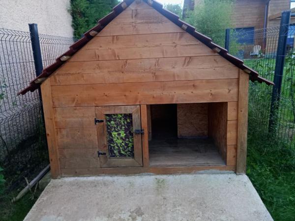 Niche à chien
