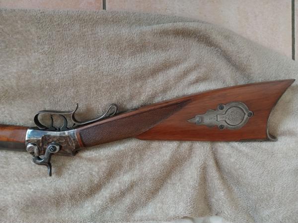 Carabine poudre noire Wesson palmetto 45