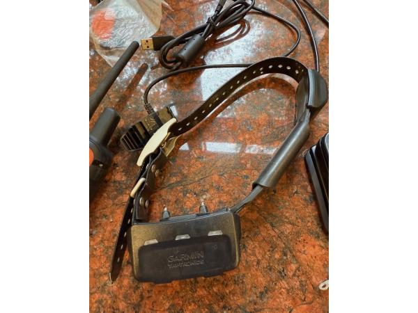 Collier GPS pour chien Garmin Alpha 100 / TT15