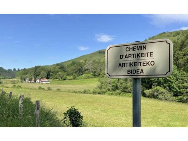 Gîte et poste chasse palombes