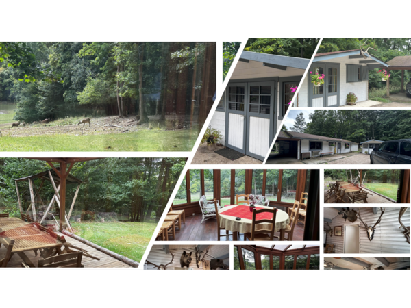 Parc de chasse, chalets et installations