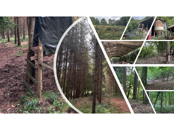 Parc de chasse, chalets et installations