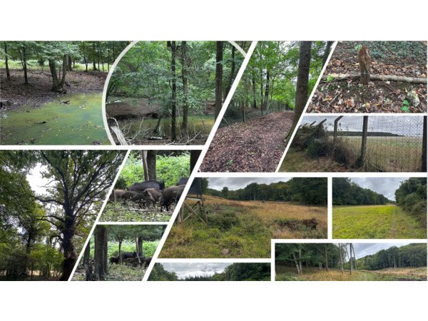 Parc de chasse, chalets et installations