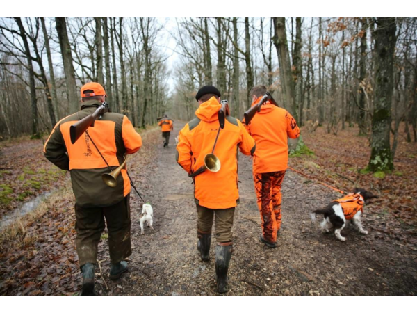 Action de chasse grand gibier - Mayenne (Laval)