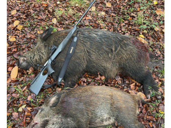 Je recherche un chargeur 4 balles pour carabine Sauer 404 300 win Mag