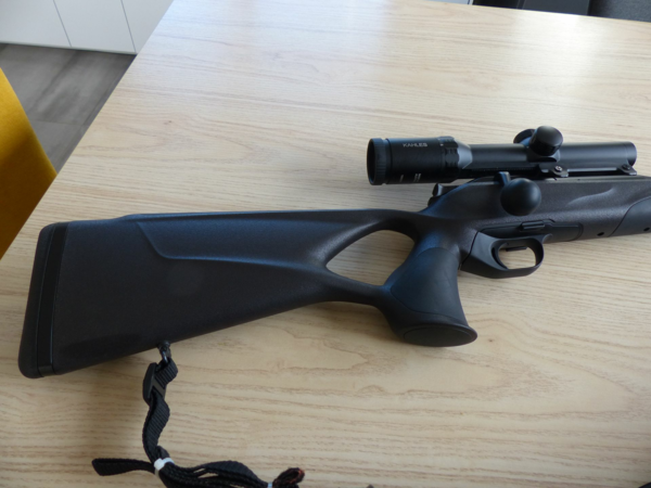blaser r8 professionnal succés noire 308w