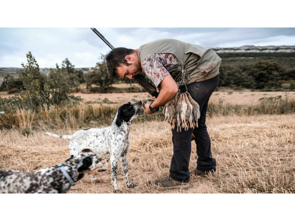 Exclusif et inédit !! / Séjours de dressage de vos chiens d'arrêt hors saison !