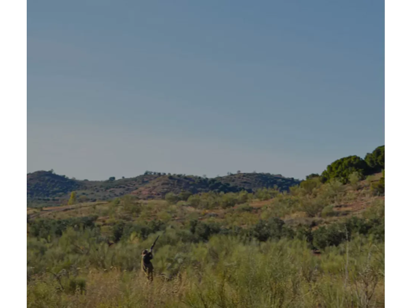 CHASSE » ECONOMIQUE » AUX PERDRIX ROUGES EN CATALOGNE.