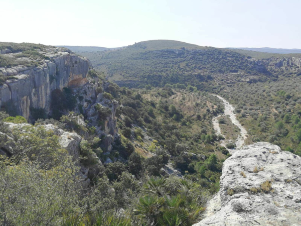 CHASSE » ECONOMIQUE » AUX PERDRIX ROUGES EN CATALOGNE.