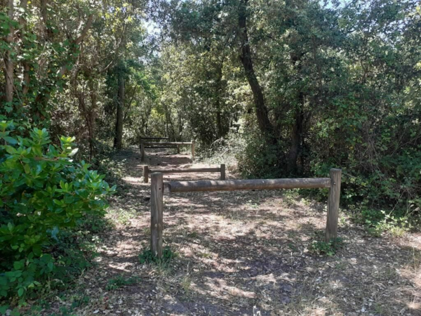 Recherche Actionnaires