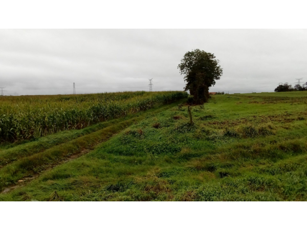 Plaine de chasse en Pays d'Opale